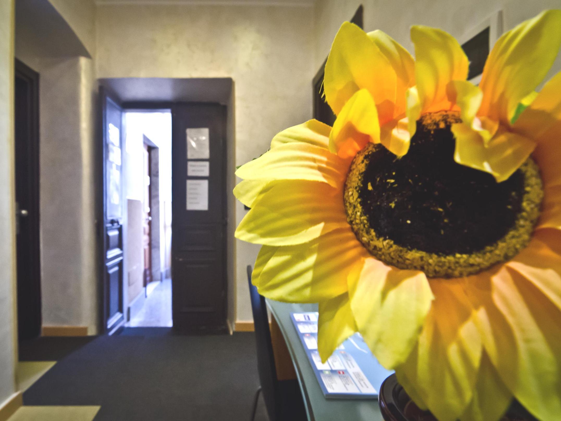 Memole Inn San Remo Zewnętrze zdjęcie